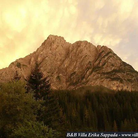 Gasthof Erika Sappada