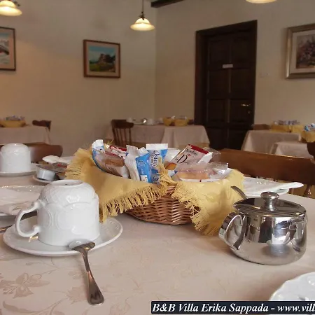 Erika Guest house *