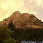 Πανσιόν Erika Sappada
