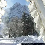 Πανσιόν Erika