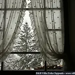 Πανσιόν Erika Sappada
