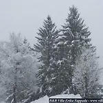 Erika Πανσιόν