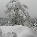 Erika Πανσιόν 3*