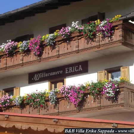Erika Guest house *