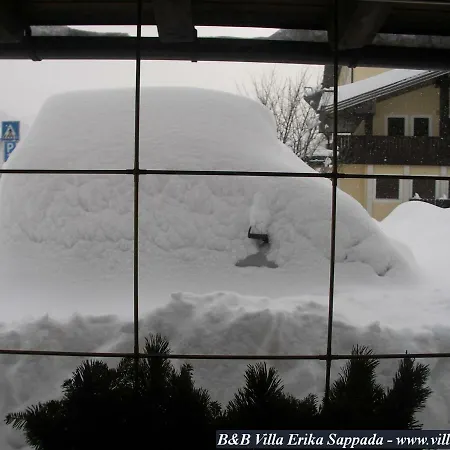Erika Guest house *
