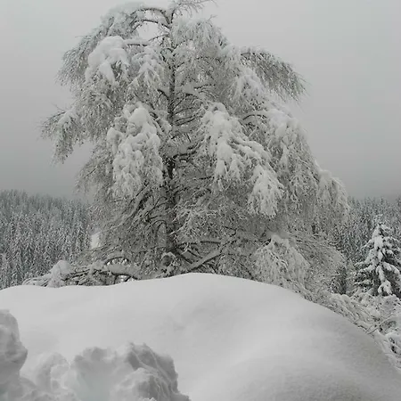 Erika Gæstehus 3*