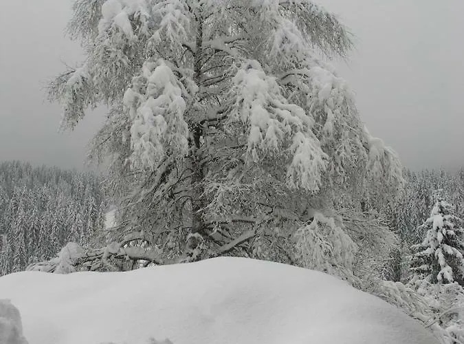 Erika Affittacamere 3*