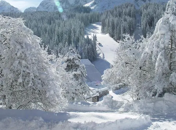 Erika Affittacamere Sappada